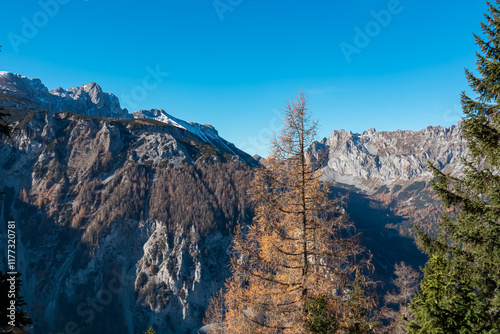 Scenic view of mountain peak Hochturm in Hochschwab region, Styria, Austria. Steep rocky cliffs covered in deciduous trees in vibrant autumn colors. Wanderlust Austrian Alps. Golden coniferous forest photo