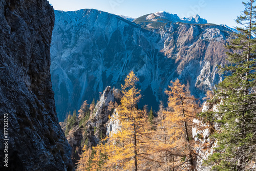 Scenic view of mountain peak Hochturm in Hochschwab region, Styria, Austria. Steep rocky cliffs covered in deciduous trees in vibrant autumn colors. Wanderlust Austrian Alps. Golden coniferous forest photo