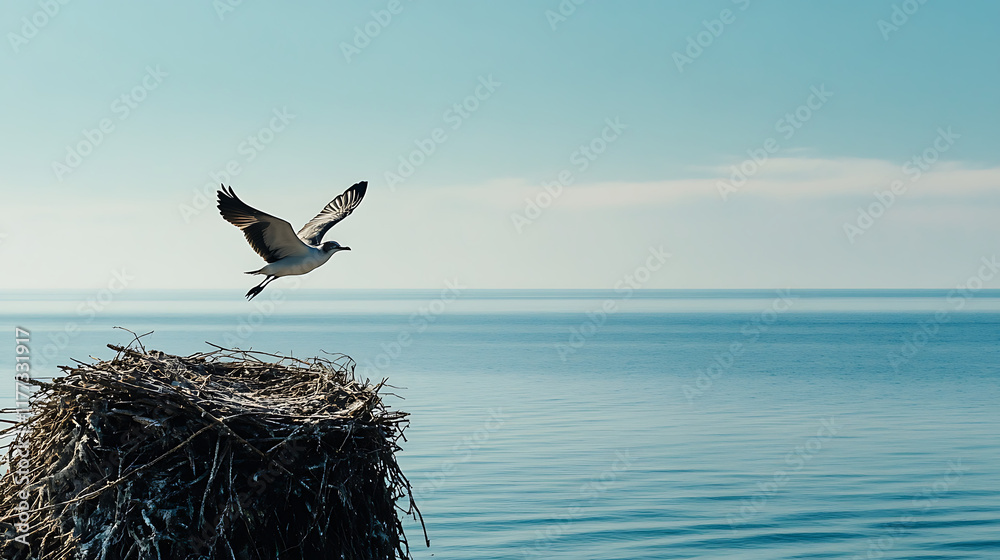 A bird leaving its nest for the first time, flying toward the vast horizon. (3)