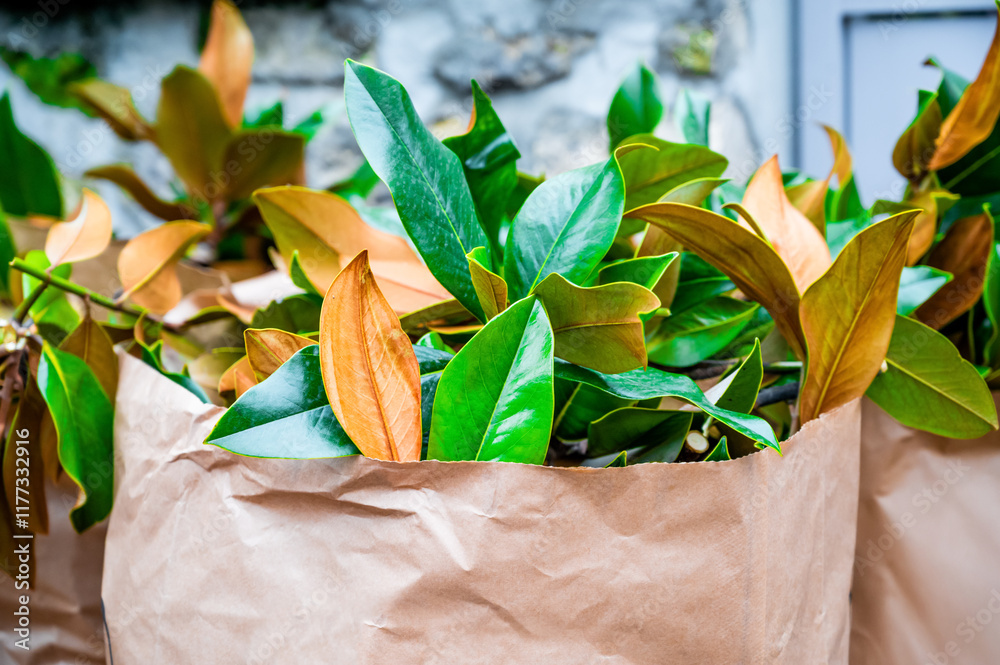 Paper bags for collecting garden waste. Waste sorting. Recycling of garden leaves.