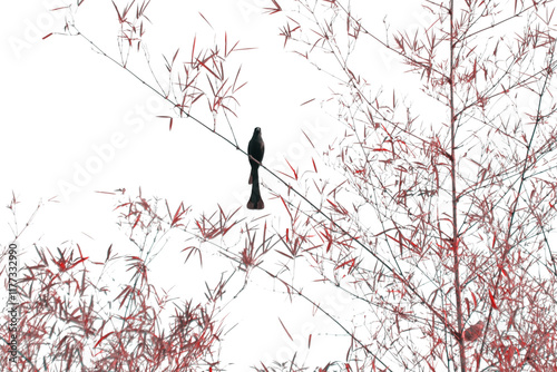 Solitary bird perched on bamboo tree branch against tranquil sky, capturing the essence of solitude and peacefulness in a minimalist landscape photograph. photo