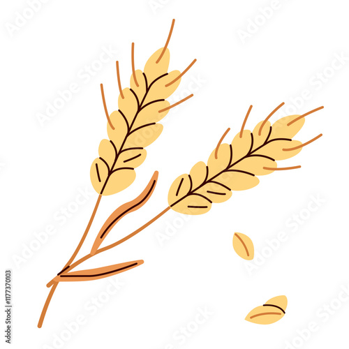 Mature wheat spikelets with an ear, stem and spikelet. Rye grain plant, cereal crop. Botanical composition of farm cereal plant and grains.Cereal harvest, agriculture, organic farming, healthy food 