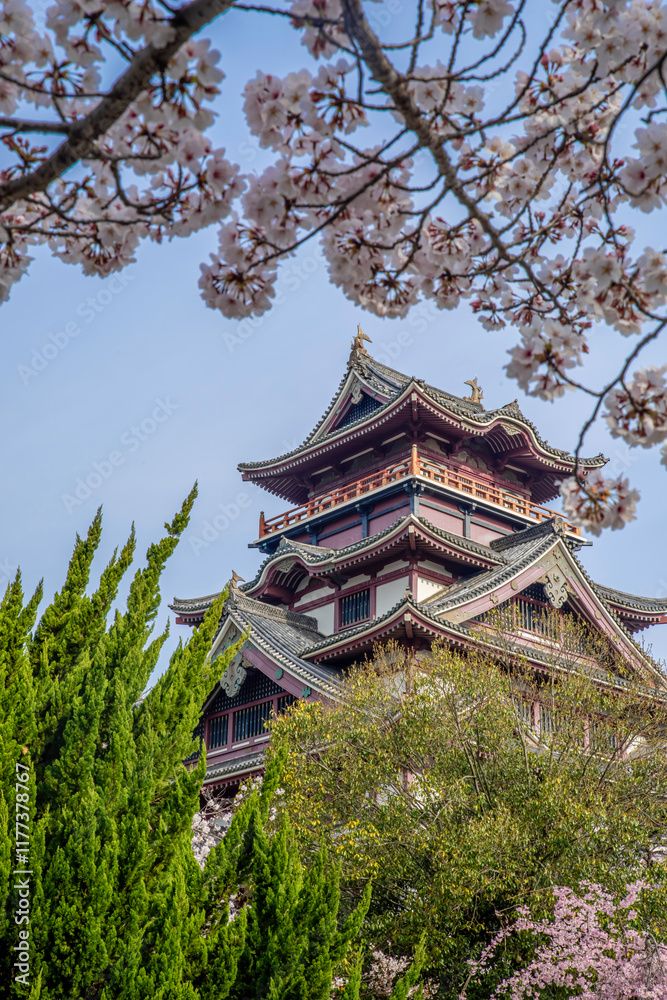 Fototapeta premium 日本の京都にある伏見桃山城と桜