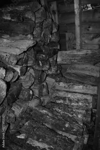 Parc Appalaches 24 Décembre Au 2 Janvier 2025 N&B
