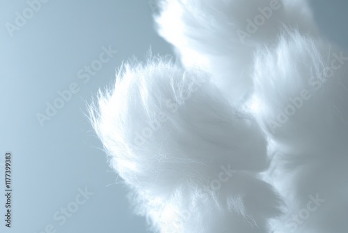 close-up of fluffy white cotton balls photo