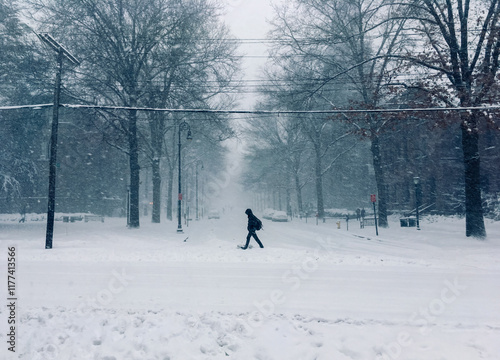 A person walking in the street with tress in view during a snow storm on a very cold gray winter day with freezing temperatures. 