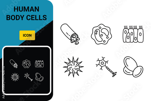 Human body cells - blood vessel, leukocyte, epithelium, thrombocyte, neuron, leukocyte. icon vector simple