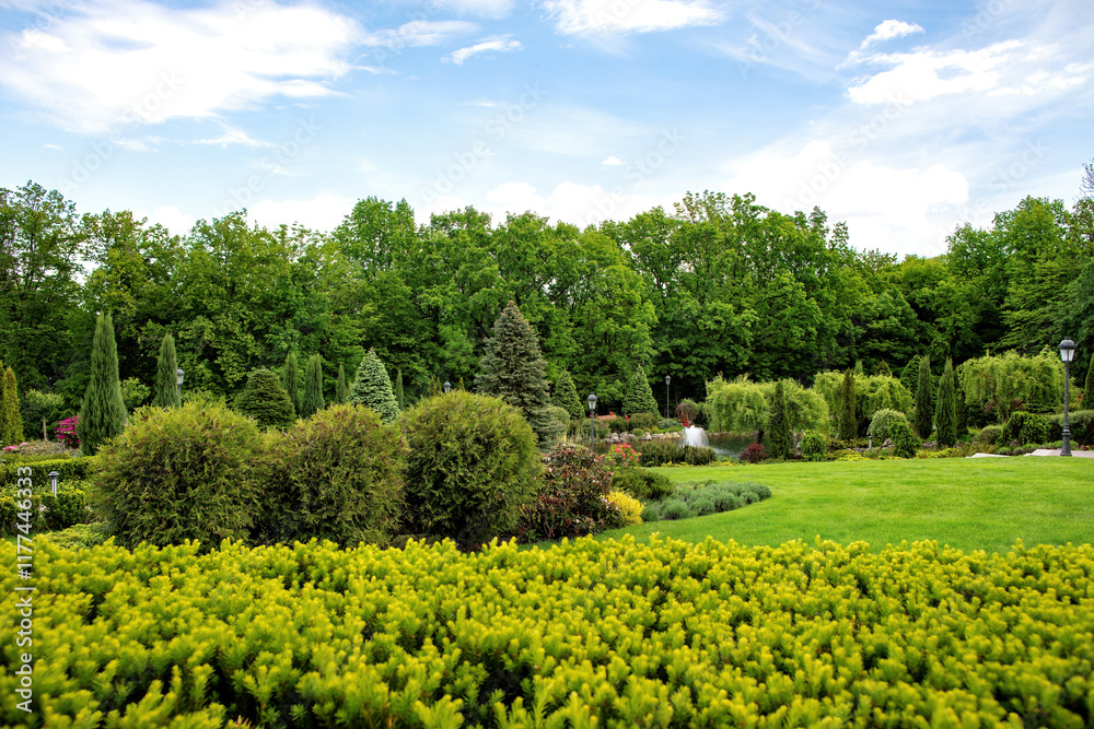 Lush greenery and colorful blooms in a tranquil garden oasis under a clear sky