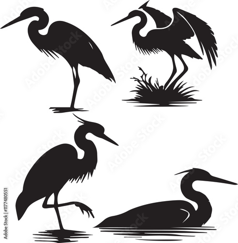 Great blue heron sitting, great blue heron silhouette