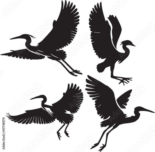 set of snowy egret flying poses