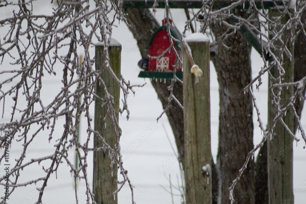 Naklejka premium Winter Storm Blair