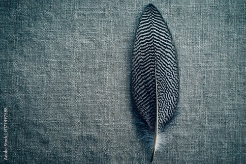 Elegant silvered feather resting on linen fabric background