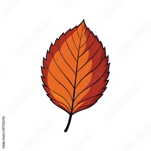 autumn beech leaf.eps