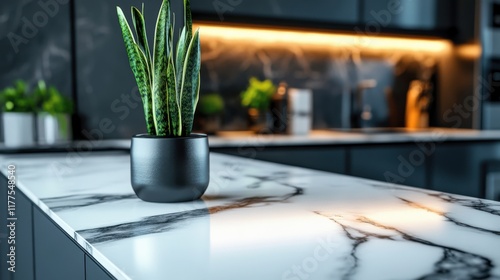 Elegant snake plant in black pot on marble countertop in modern kitchen photo