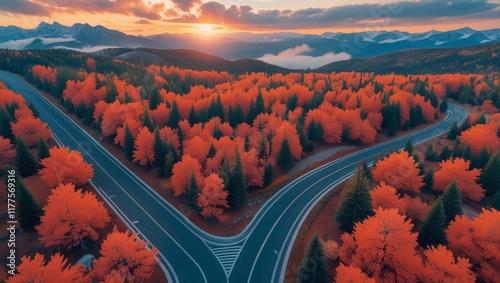 Scenic Aerial View of Autumn Road Amidst Vibrant Forest and Misty Mountains