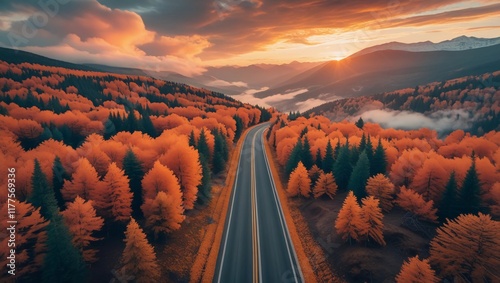 Scenic Aerial View of Autumn Road Amidst Vibrant Forest and Misty Mountains