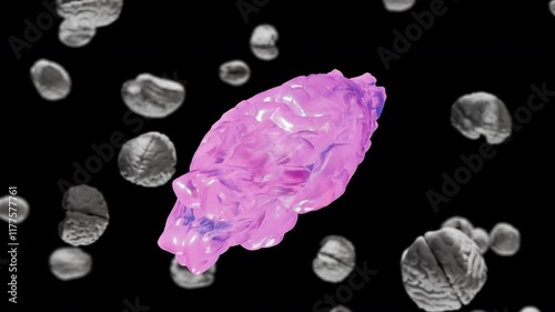 Elastic Brain Transformation. Brain shapes on background. 