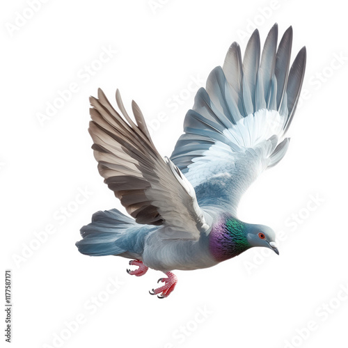 a beautifully illustrated pigeon in mid-flight. showcasing its detailed feathers and vibrant colors against a white background  elegance and grace of the bird. emphasizing its wings and body posture photo