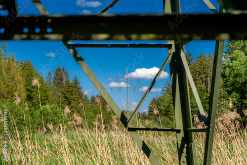 Stromtrasse führt durch einen Wald photo