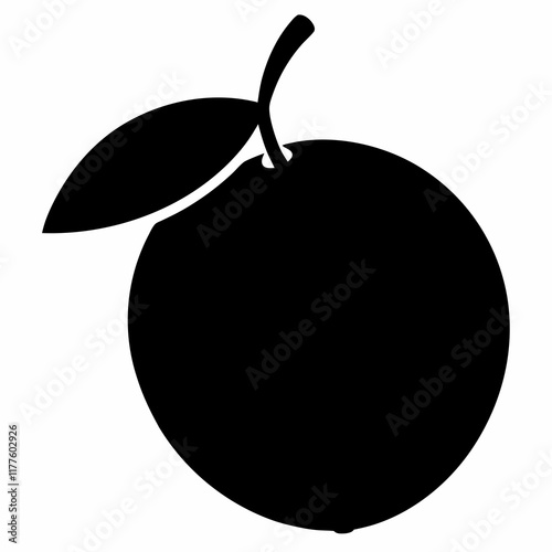 Sapodilla Fruit Minimalist Vector Design