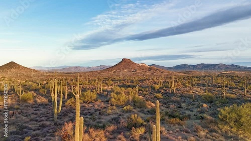 Early Morning Hyper Lapse Footage Of A  Arizona Sonoran Desert Landscape In North Scottsdale 