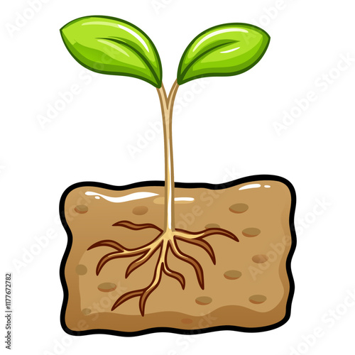 Plant growing from underground vector illustration (5)