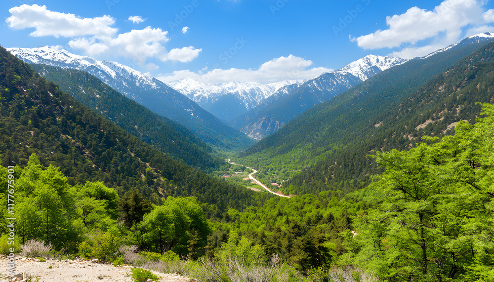 Fototapeta premium Majestic mountain valley landscape showcasing lush greenery, a winding road, and snow-capped peaks under a vibrant blue sky. Perfect for travel, nature, and environmental themes.