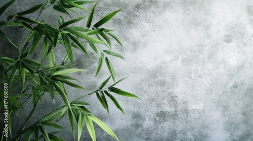 Lush bamboo branch against a textured gray wall creating a serene and calming natural backdrop for design and decor themes