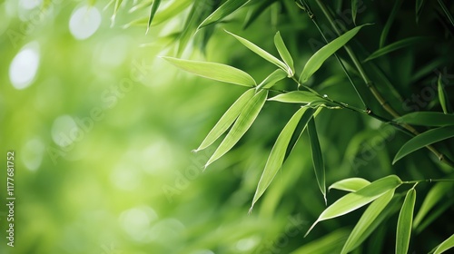 Bamboo leaves with slender shape and delicate hairs against a soft green backdrop showcasing nature's tranquility and elegance.