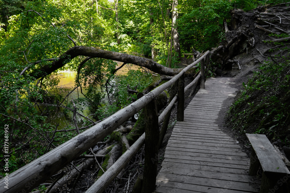 Fototapeta premium Nature reserve Nad Tanwia - Roztocze.