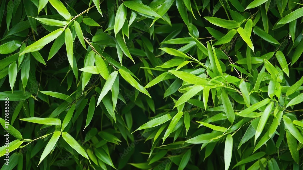 Fototapeta premium Vibrant bamboo leaves creating a lush green background for nature-themed designs and projects.