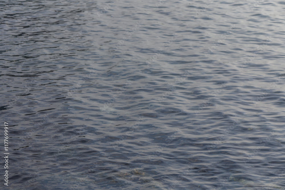 Rippling surface reflects soft light at sunset over tranquil waters