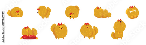 Pomeranian Spitz Doggy in Different Pose Vector Set