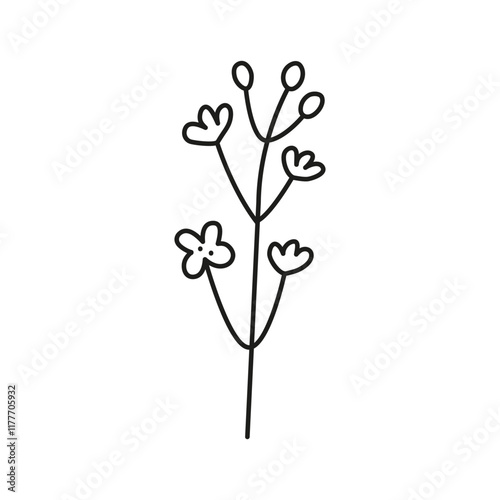 Doodle outline rapeseed canola flowers isolated on white background.