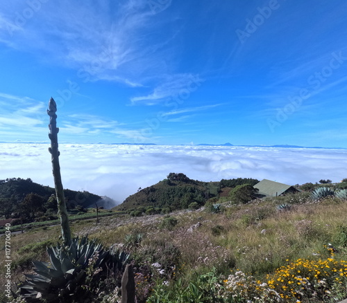 cloud