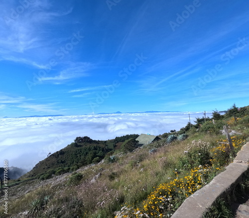 over the clouds
