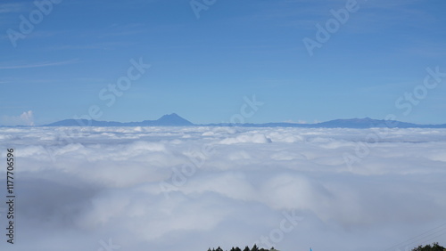 Cloud bed