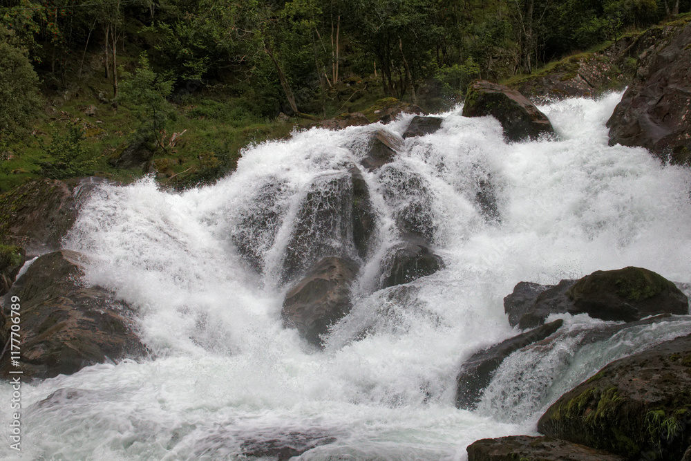Vigorous water flows over rocks, embraced by lush greenery, creating a serene atmosphere. Vigorous water flows over rocks, embraced by lush greenery, creating a serene atmosphere.