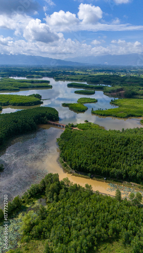 Fototapeta Naklejka Na Ścianę i Meble -  Aerial view of the forest with lakes and rivers near My Son ruin in central Vietnam, close to Da Nang city