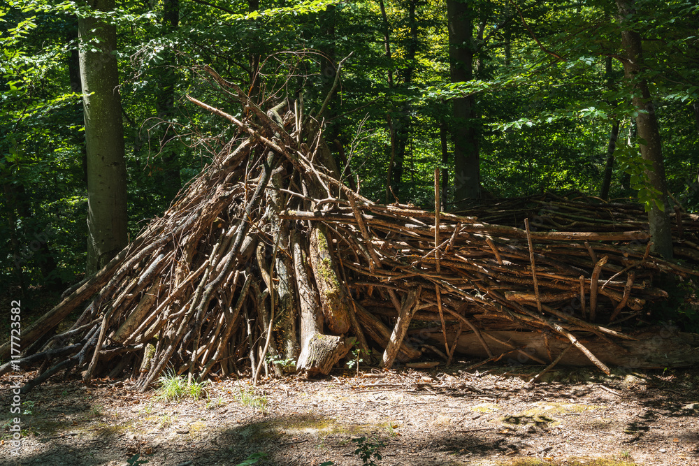 cabane en branchages dans le bois cabane en branchages dans le bois