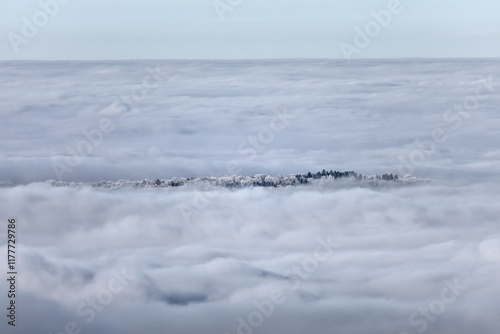 Brouillard sur la vallée du Lison - Doubs