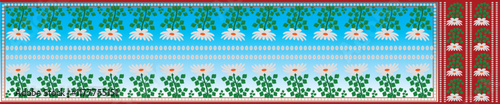 saree illustration  flower
