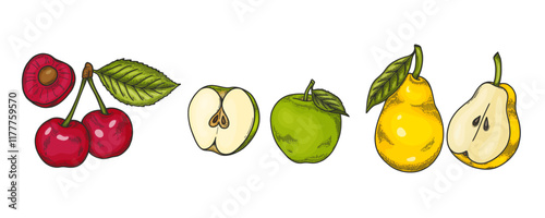 Fruits vector drawing set. Cherry, apple, pear. Flat illustration. Hand drawn slice, whole and half fruits , leaves. Botanical sketch of fruits for label, juice packaging