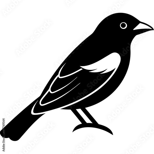 scarlet tanager bird on a branch
