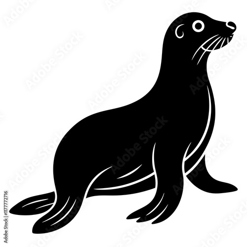 sea lion illustration
