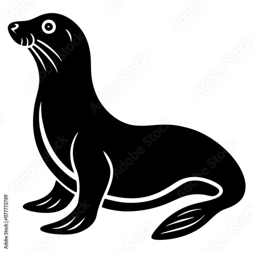 sea lion illustration
