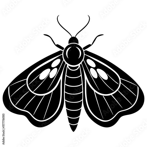 black and white moth