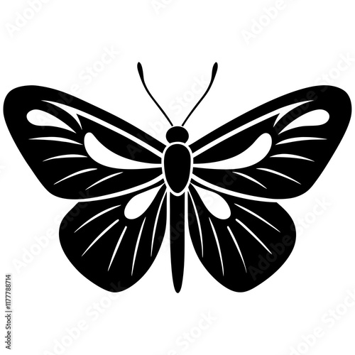 butterfly on white background