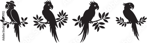 Vibrant Silhouettes of Parrots Sitting on Branches