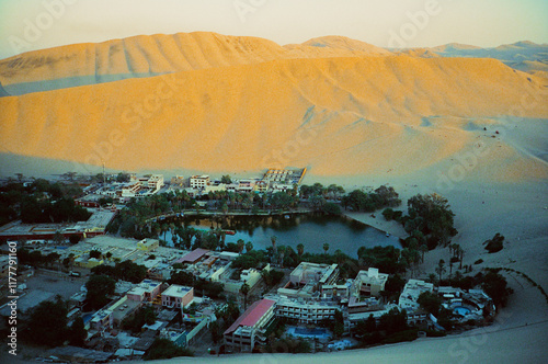 Desert oasis at sunrise   photo